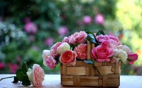Обои c elena di guardo, корзинка, лукошко, розы