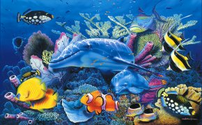 Обои christian, riese, аквариум, голубое, дельфин, красиво, море