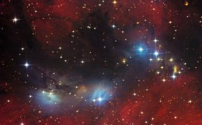 Обои nebula, Ngc 6914, vdb 132, космос, лебедь, туманность