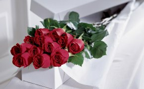 Обои подарок, розы, цветы