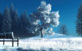 Обои art, деревья, зима, лавочка, скамейка, снег