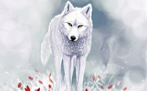 Обои Белый волк, зима, красные цветы, снег