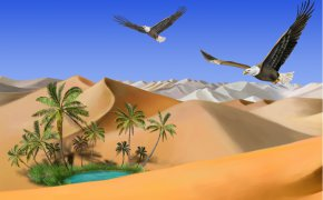 Обои оазис, озеро, орлов, пальмы, песок, полет, пустыня