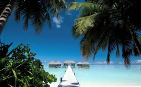 mальдивы, мостик, пальмы, лето, пляж