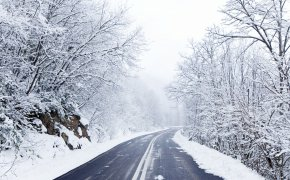 Обои деревья, дорога, зима, снег
