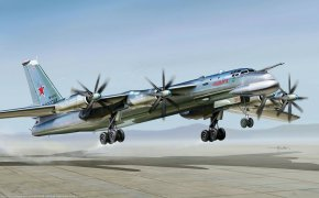 Обои "медведь", советский, Ту-95мс
