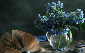 Обои ваза, голубые цветы, книга, натюрморт, шкатулка